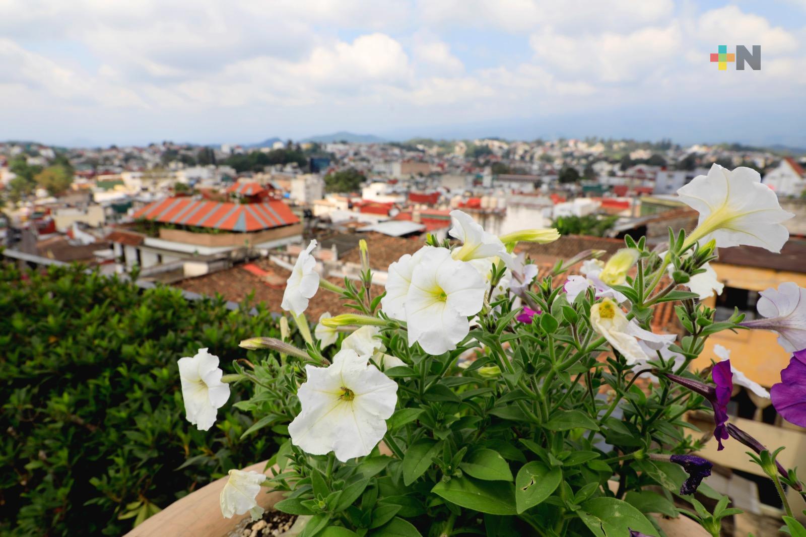 Presenta Ayuntamiento estrategia de capacitación «Conoce y hablemos de Xalapa»