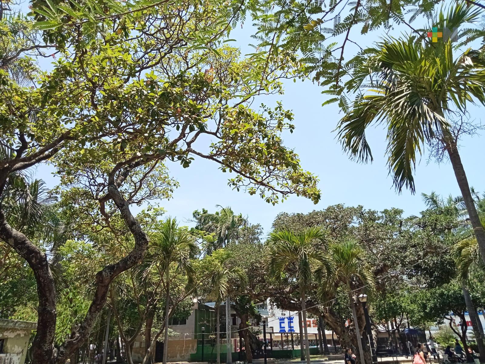 Se prevé ambiente relativamente cálido