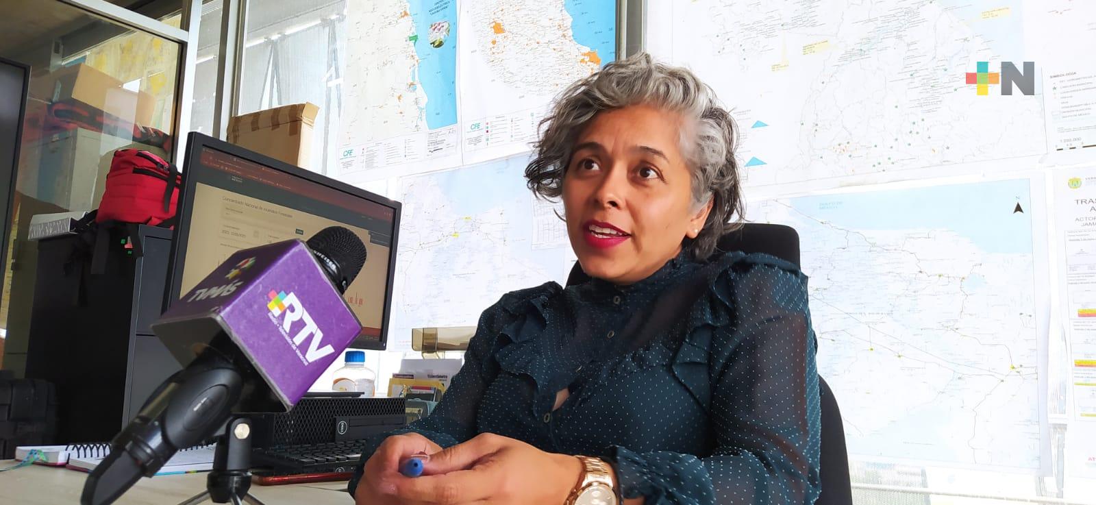 Secretarías de Veracruz no piden apoyos para combatir incendios: SPC