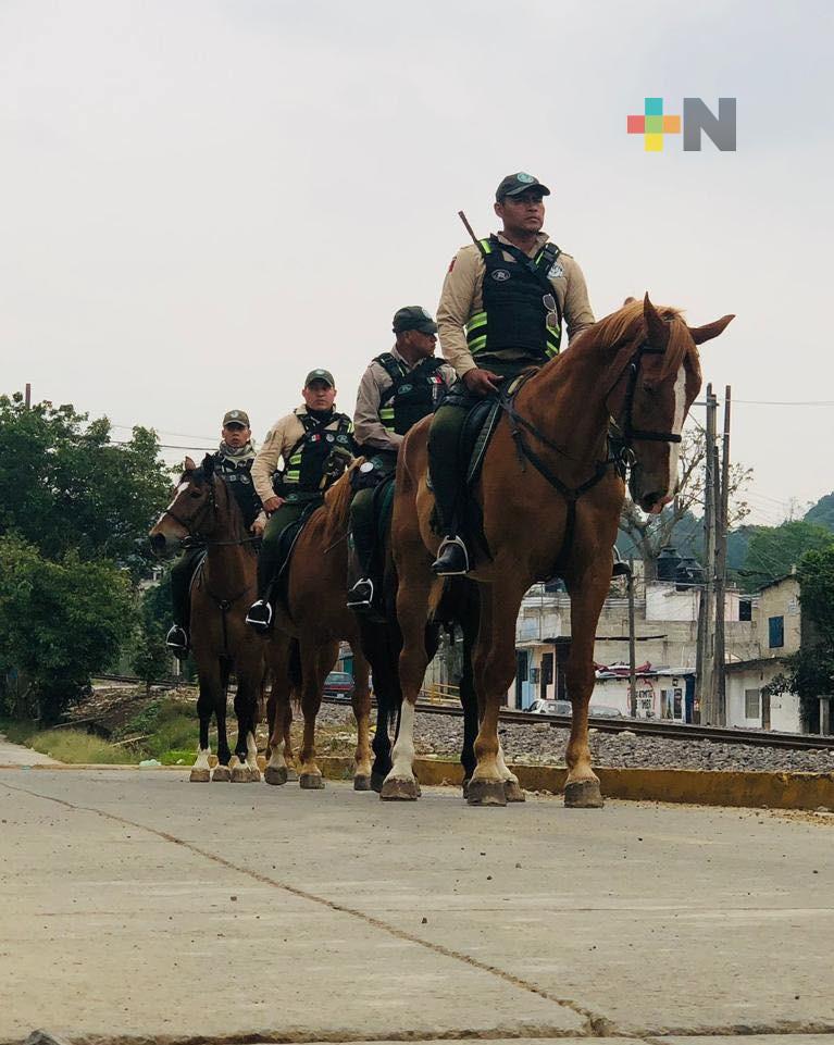 Seguridad municipal de Banderilla se fortalece con apoyo de caballería de la Fuerza Civil