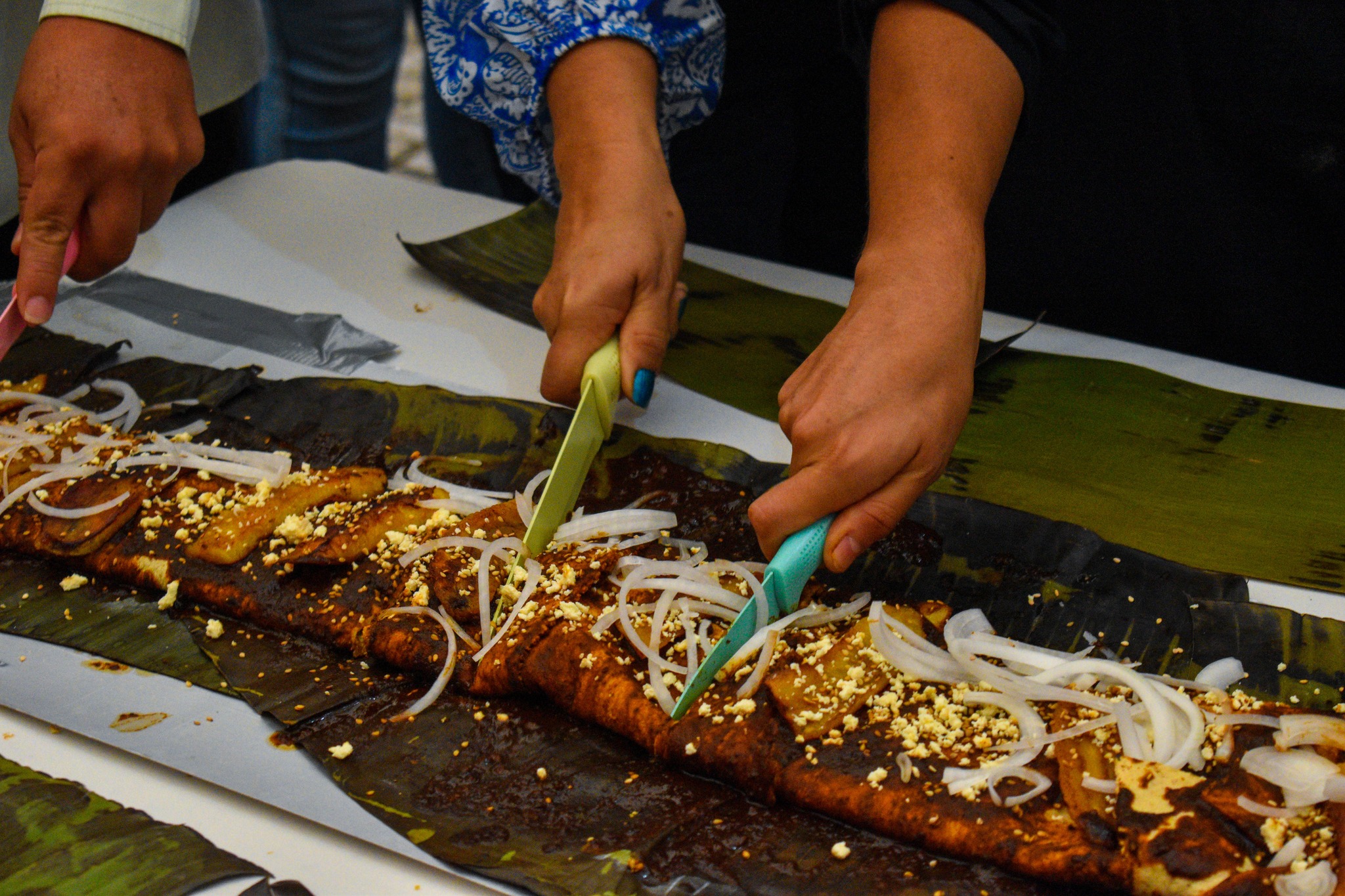 Celebran el Festival de la Miel y el Mole en Teocelo