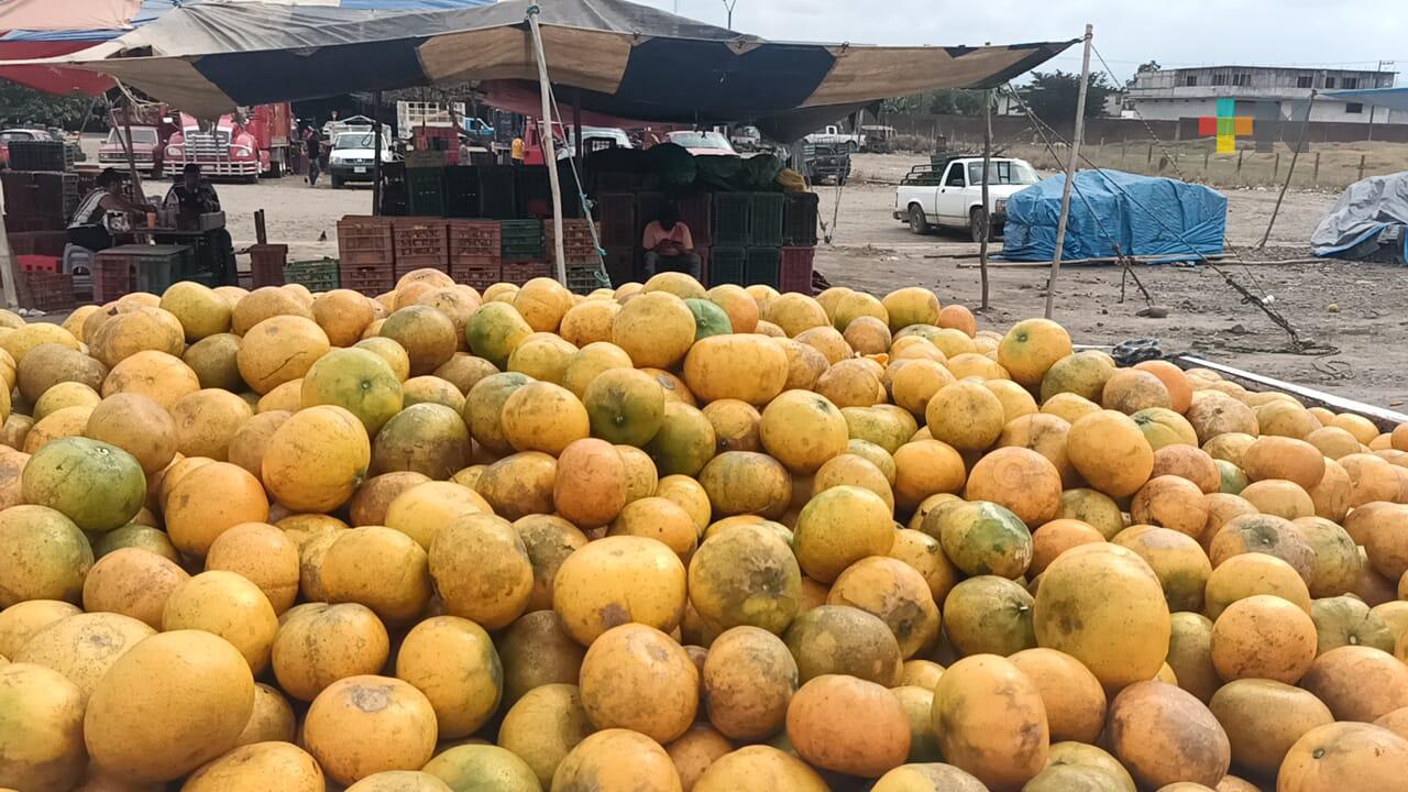 Hasta en 11 mil pesos venden la tonelada de naranja de Martínez de la Torre