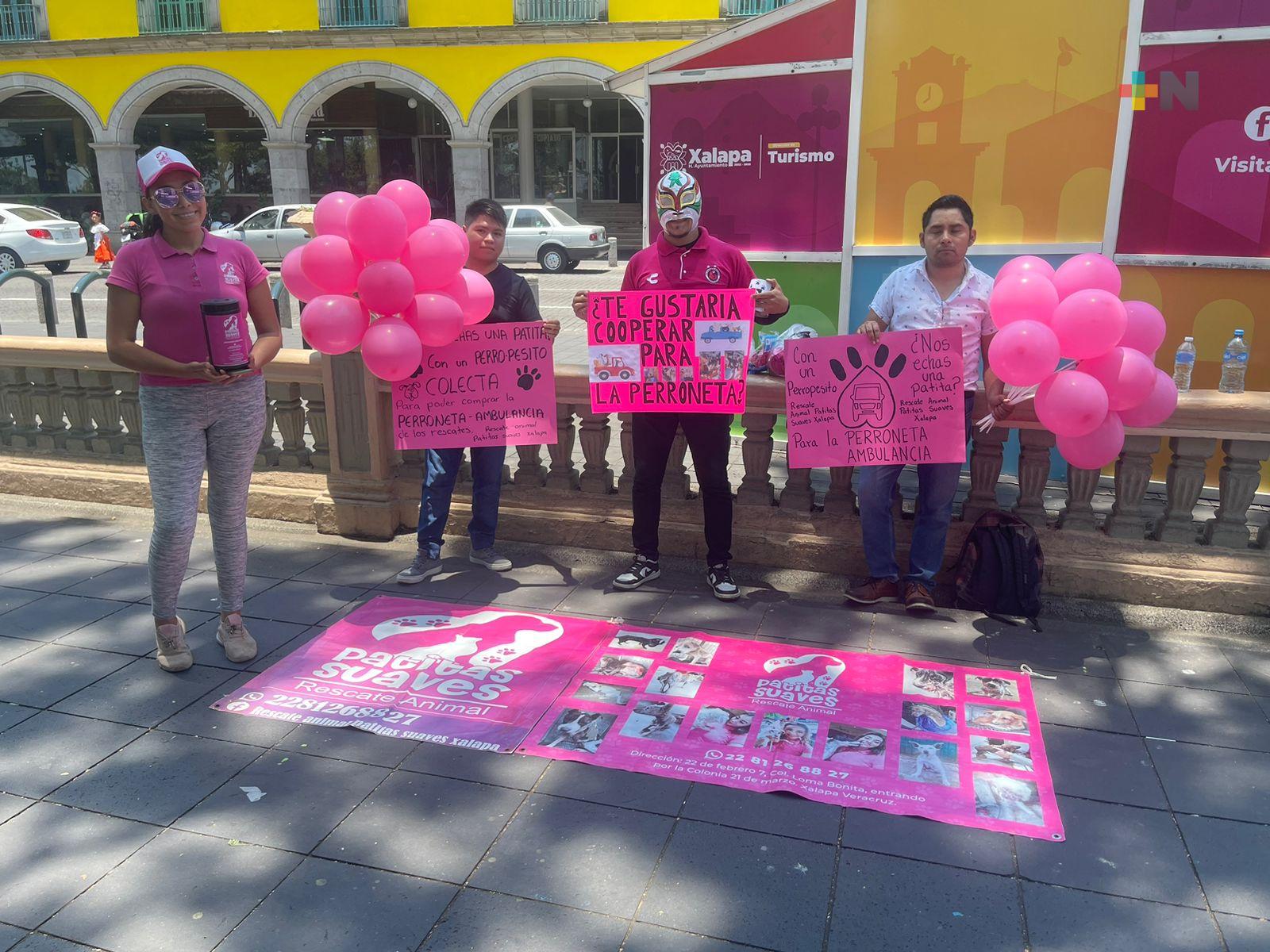 Refugio animal de Xalapa solicita apoyo para ambulancia perruna