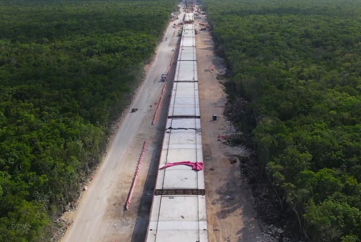 Avanzan trabajos ambientales en tramos 5, 6 y 7 del Tren Maya
