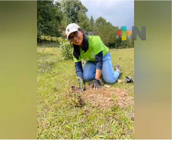 Llega a Zacualpan programa «fabriquemos agua reforestando»