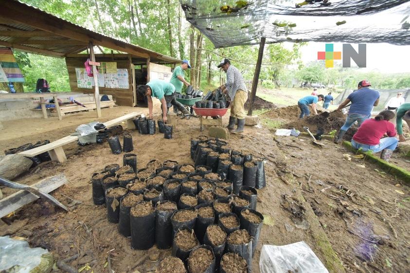 Obtiene EPS Generación VI de CFE distintivo de Empresa Socialmente Responsable