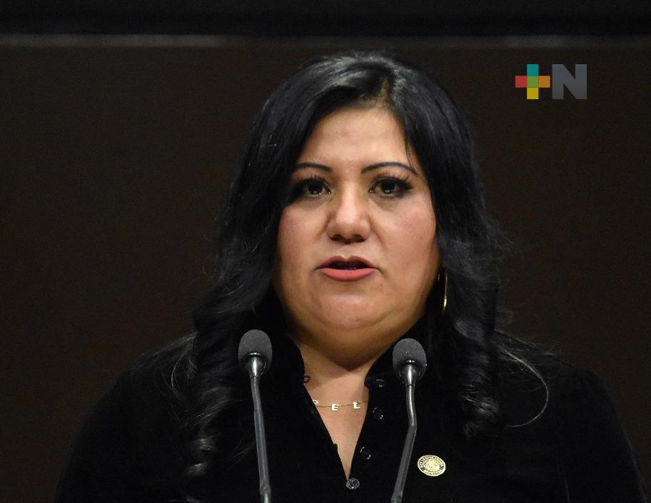 Plantean que ministros de SCJN ocupen su cargo 6 años y sean electos mediante voto universal