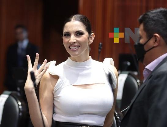 Necesario, garantizar acceso a una vida plena a personas con discapacidad: Diputada