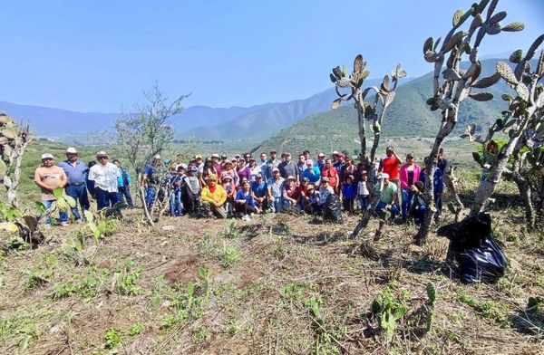 Encabeza secretario Eric Cisneros Burgos reforestación en municipio de Acultzingo