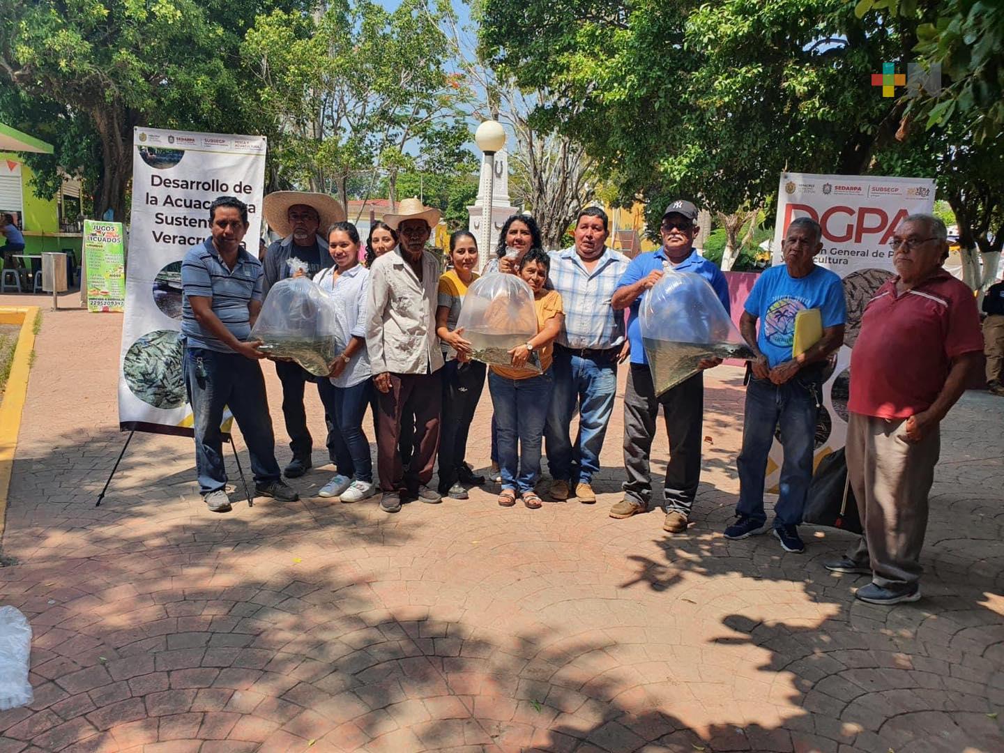 Se brindan apoyos a productores pecuarios en Medellín de Bravo: Gobernador
