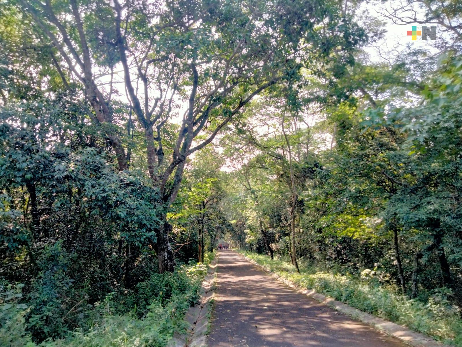 Xalapa tendrá parque temático dedicado a la educación ambiental, arte y ciencia