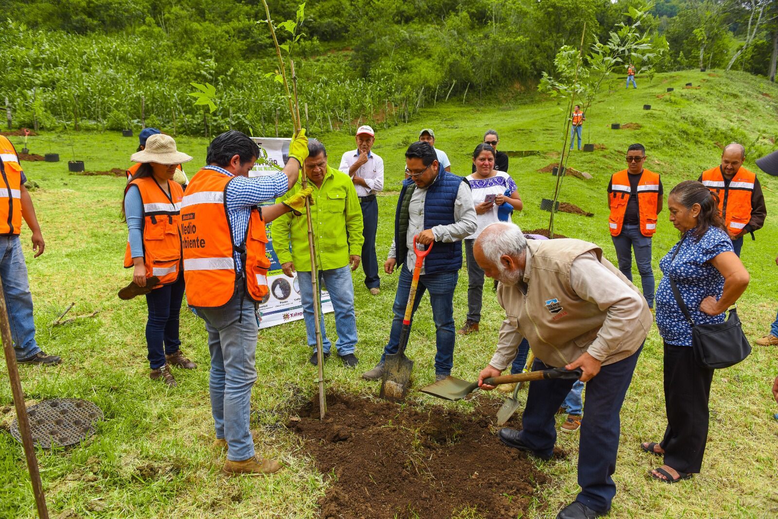 Inicia ayuntamiento programa de Reforestación y Arborización 2023