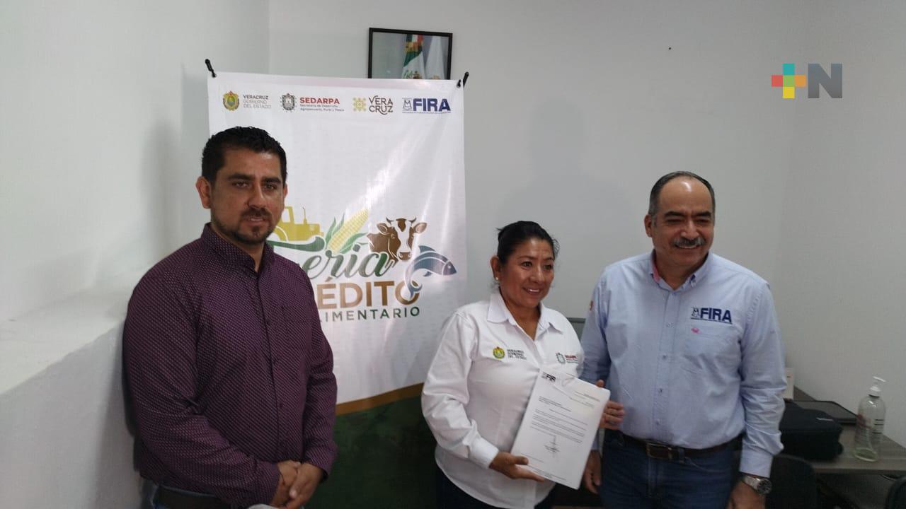 Sedarpa organiza «Feria del crédito del sector agroalimentario 2023»