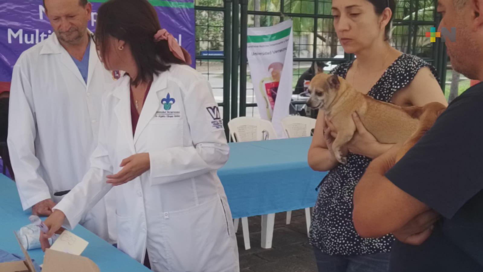 Inicia jornada de vacunación contra la rabia  en campus Mocambo UV