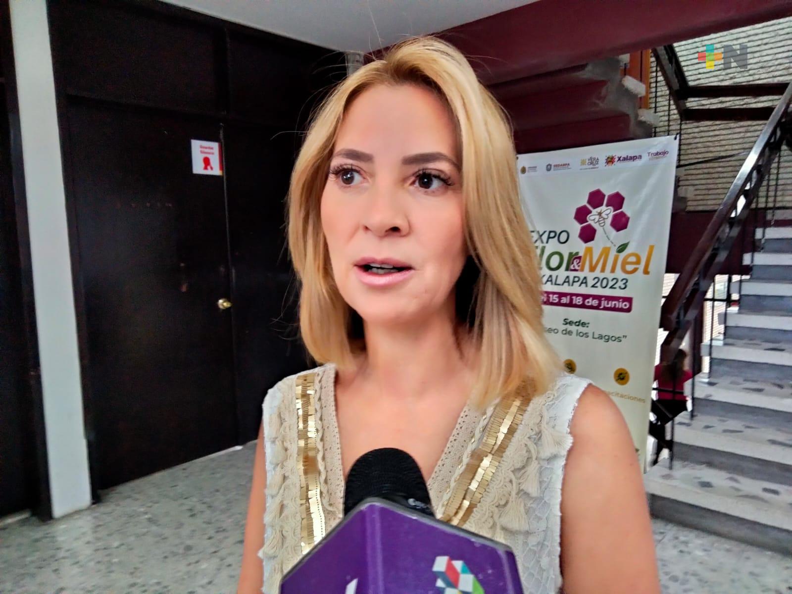 Pronto se homologará en Veracruz la llamada Ley 3 de 3: Ana Miriam Ferráez