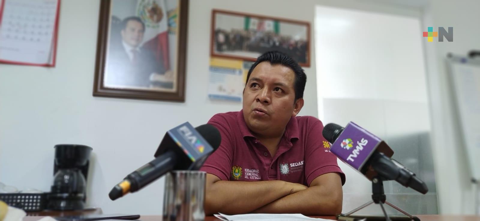 Tequios agrícolas en 45 municipios y 30 macrotúneles al programa «Todos a sembrar»