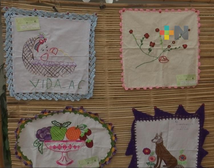 Mujeres impulsan con su arte el feminismo campesino de Veracruz