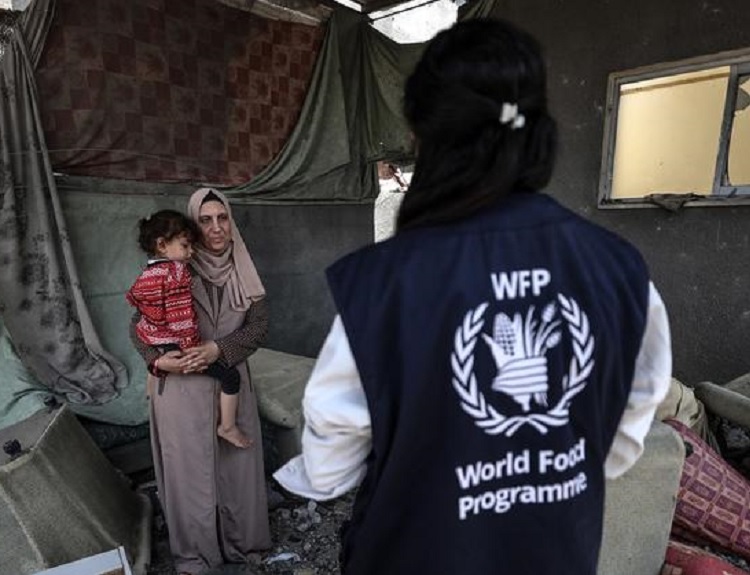 Continúa violación de derechos humanos en Cisjordania