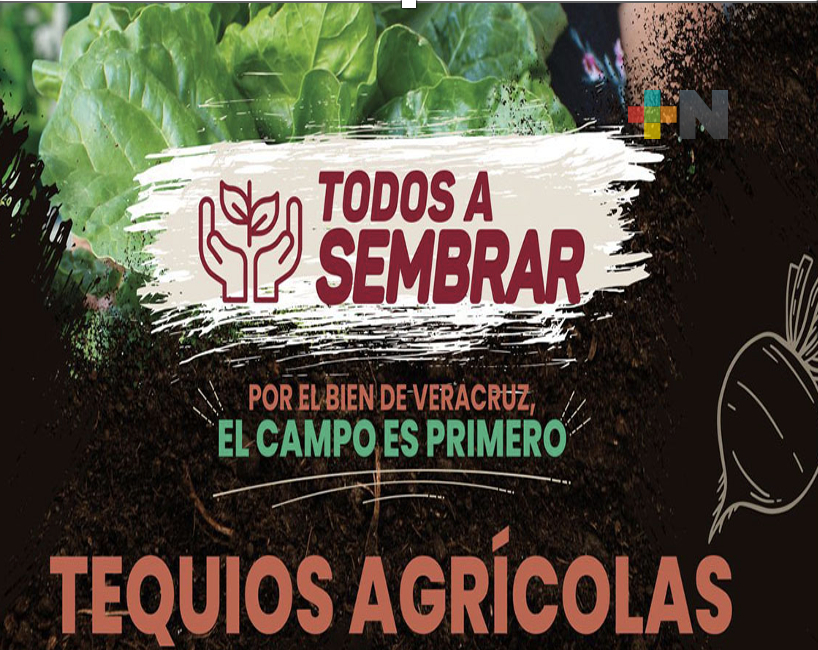 Con 54 tequios agrícolas, arranca gobierno la campaña «Todos a sembrar»