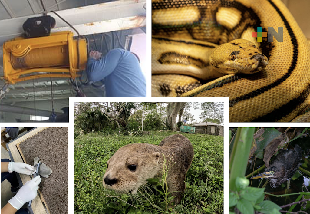 Gobernador destaca la operación administrativa del Aquarium del Puerto