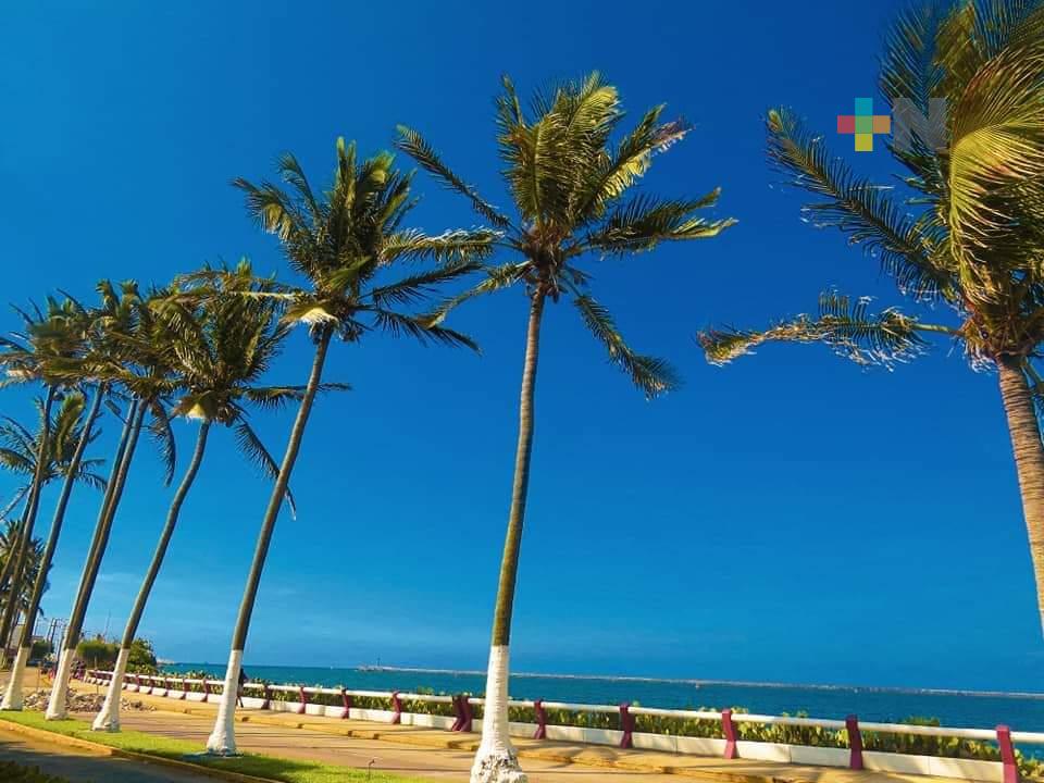 Llaman a población a tomar medidas ante la ola de calor