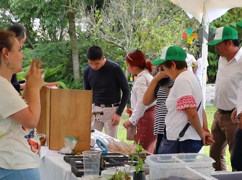 Con actividades diarias continúa en Coatepec Festival del Medio Ambiente