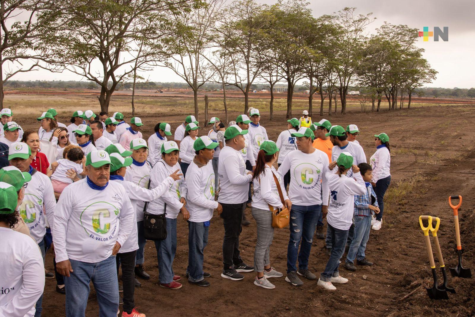 Constellation Brands se sumó al programa de acciones de reforestación de Sedema