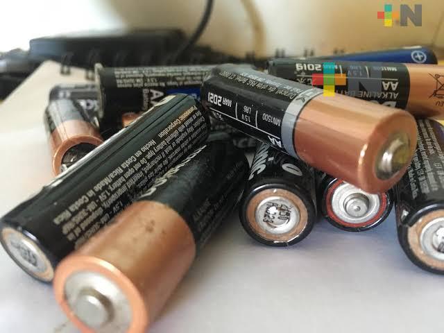 Procuraduría del Medio Ambiente recibirá residuos electrónicos; a cambio dará árboles