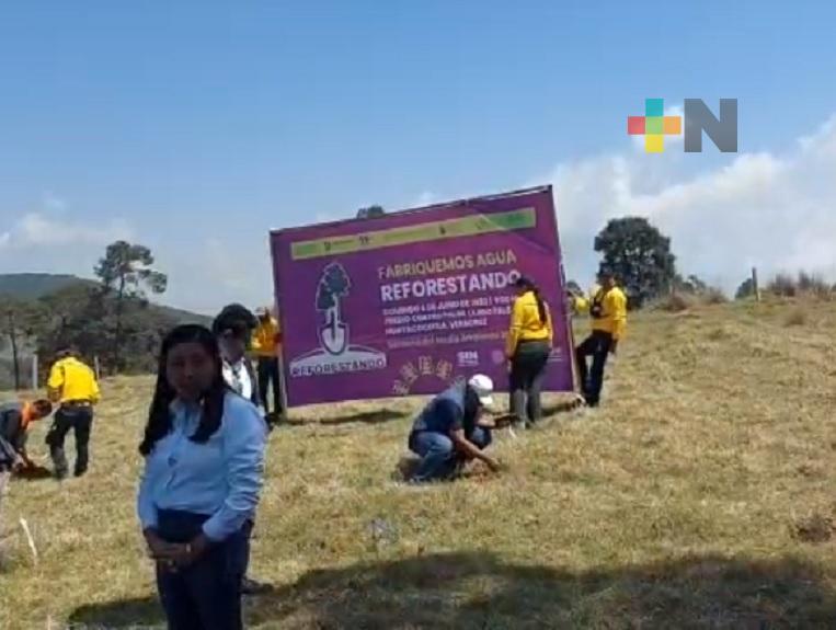 En Huayacocotla realizan programa “Fabriquemos agua reforestando”