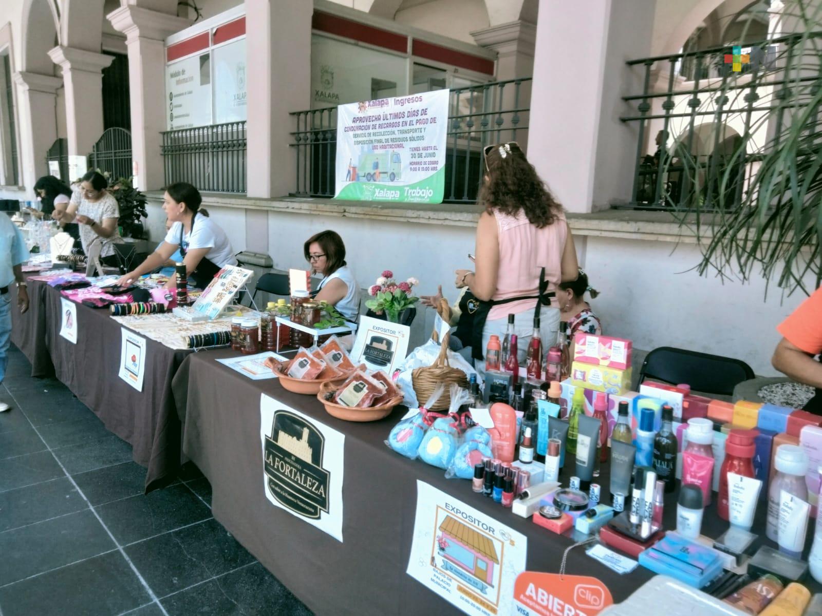 Hasta el domingo Expo Colmena en bajos del palacio municipal de Xalapa