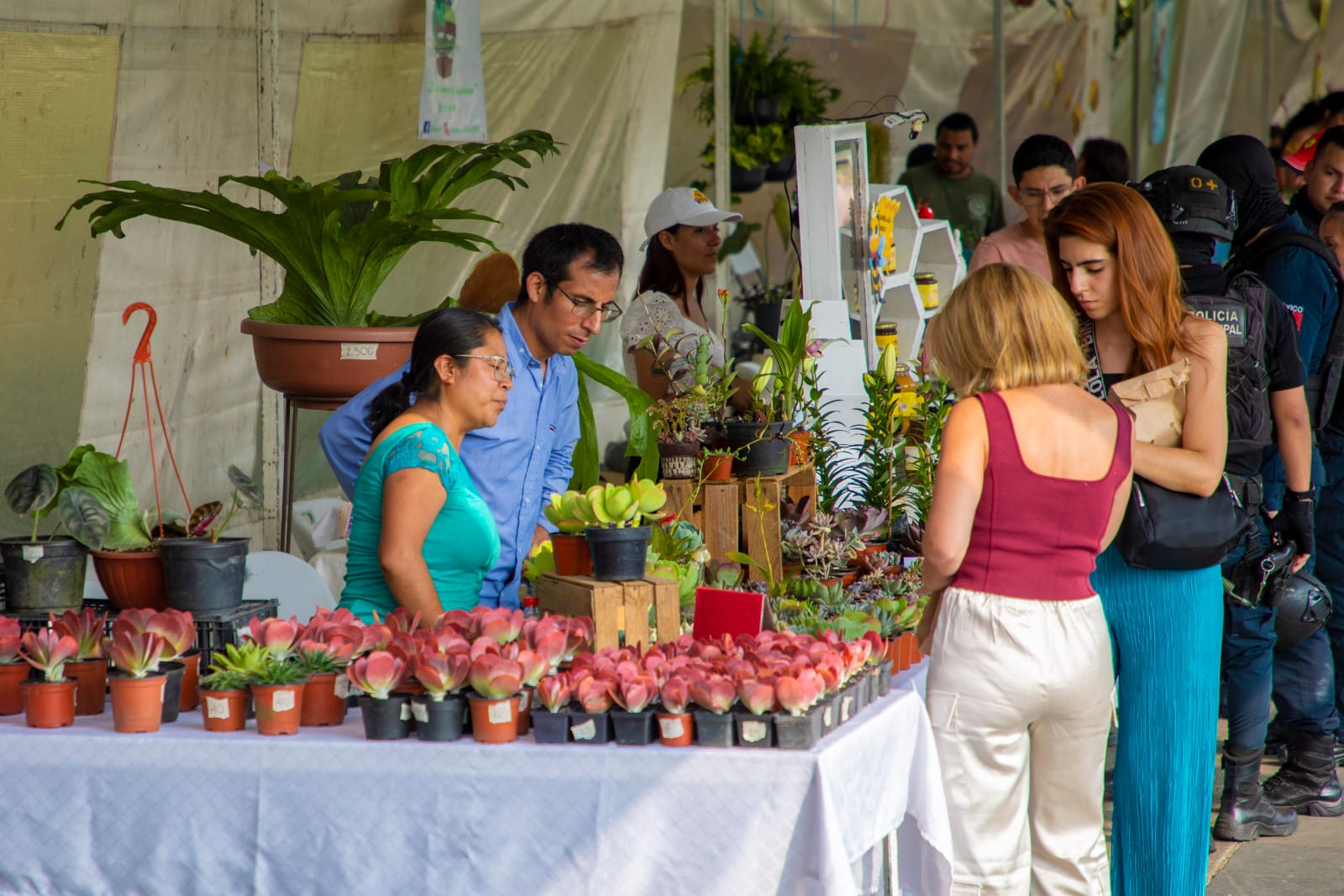 Los mejores productos de la región en la Expo Flor y Miel Xalapa 2023