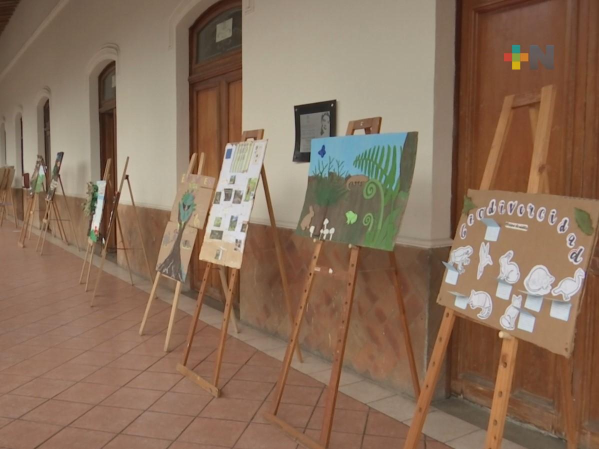 Siguen las actividades de la Semana del Medio Ambiente en Coatepec