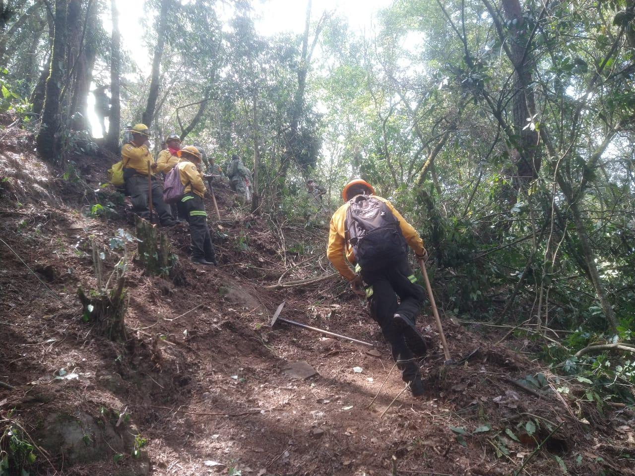 Fuerzas de tarea combaten nueve incendios en ocho municipios veracruzanos