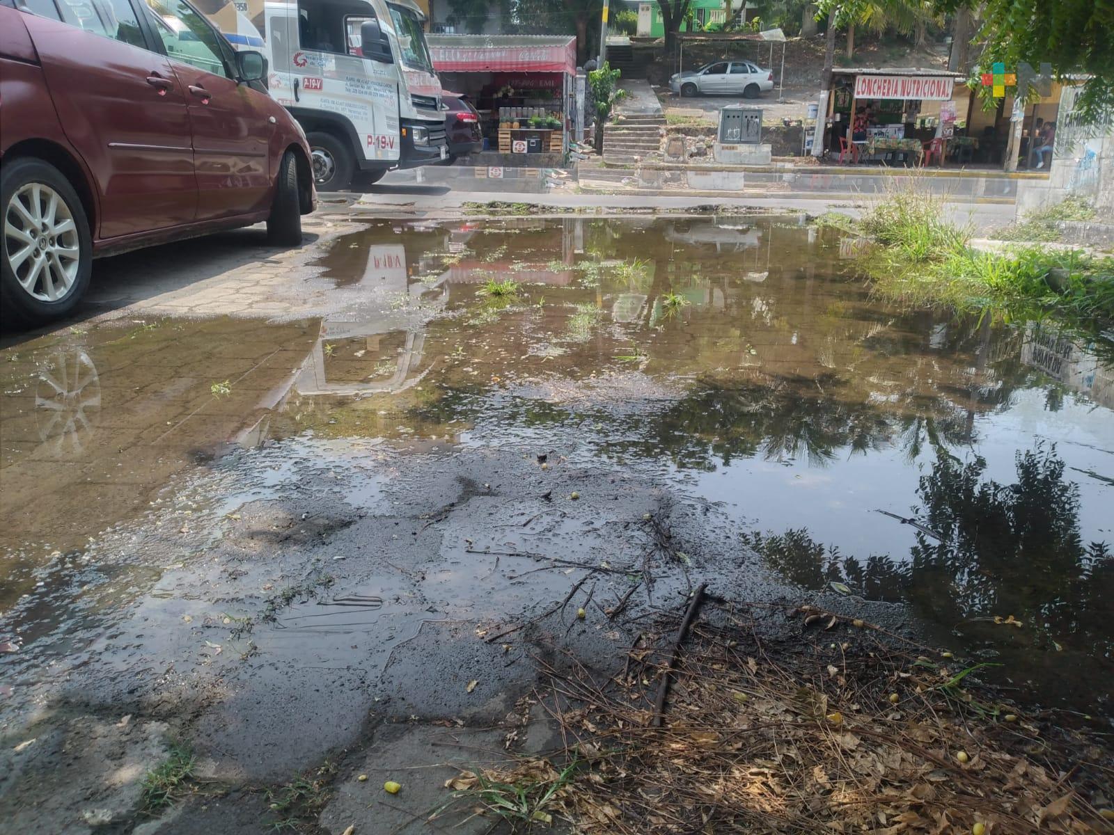 Piden reparar fuga de agua en privada Camino Real de Boca del Río