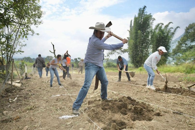 Gobernador Cuitláhuac García trabaja en campos del municipio de Atzacan