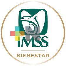 Gobernador de Veracruz se reunió con titular del IMSS