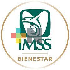 Todavía sin definir, el nuevo esquema de instituciones de salud con IMSS-Bienestar