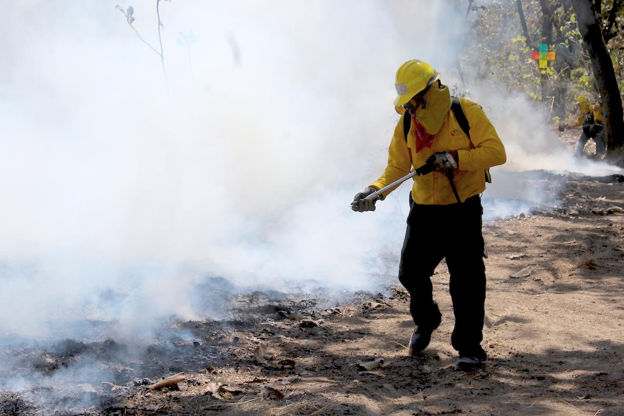 Disminuyen incendios forestales respecto a 2022 en Veracruz, pasó de 249 a 180