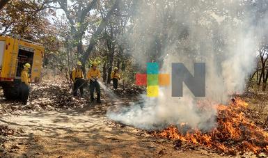 En Veracruz se han presentado 121 incendios forestales con corte al 29 de mayo