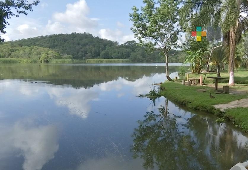 Conagua frena saqueo de agua en laguna El Castillo