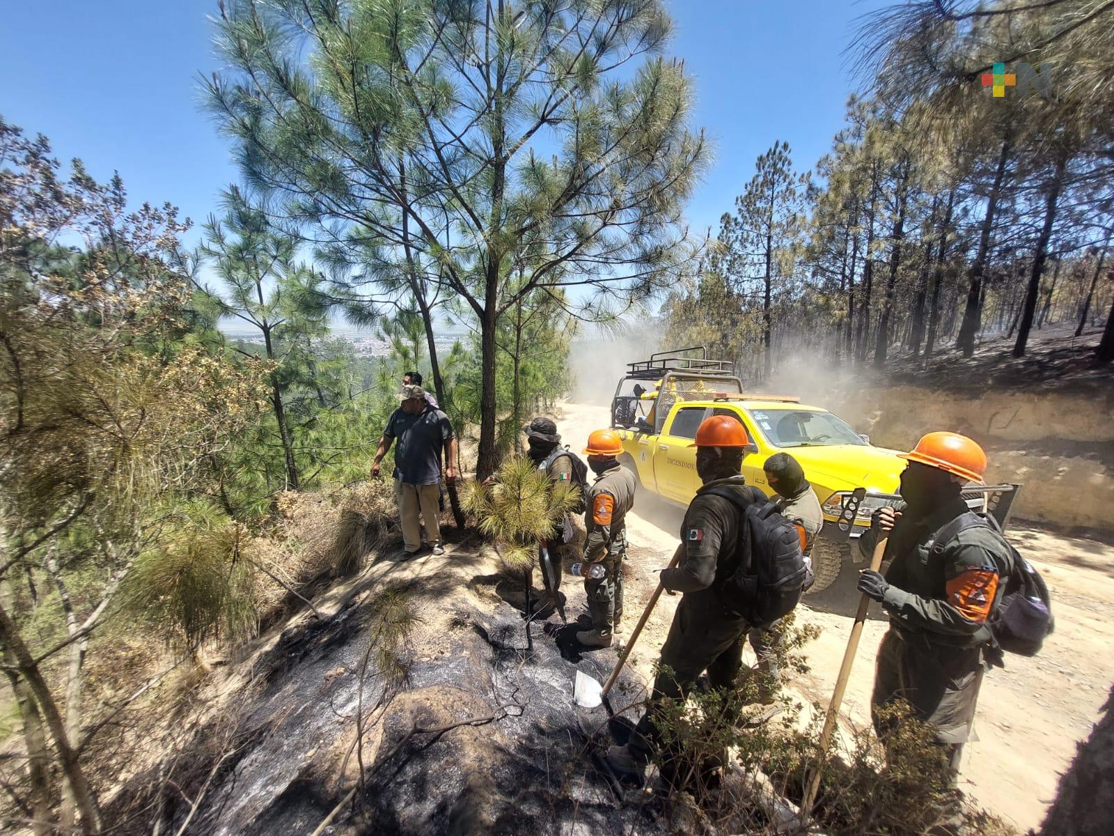 Liquidado incendio forestal en Las Vigas y controlado el siniestro de Perote: PC Estatal