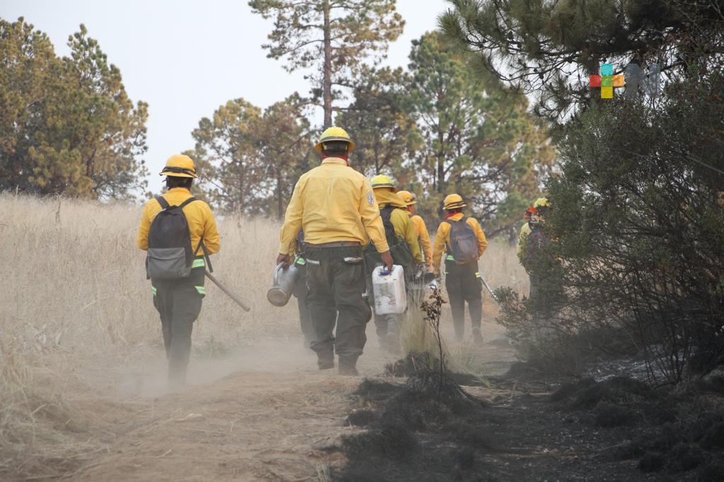 PC Estatal mantiene atención a los 19 incendios forestales registrados