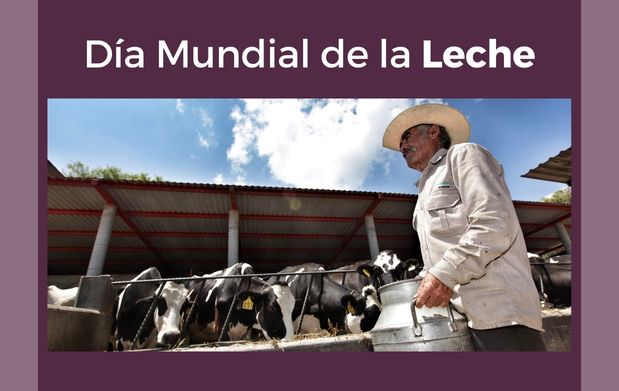 1 de junio, Día Mundial de la Leche