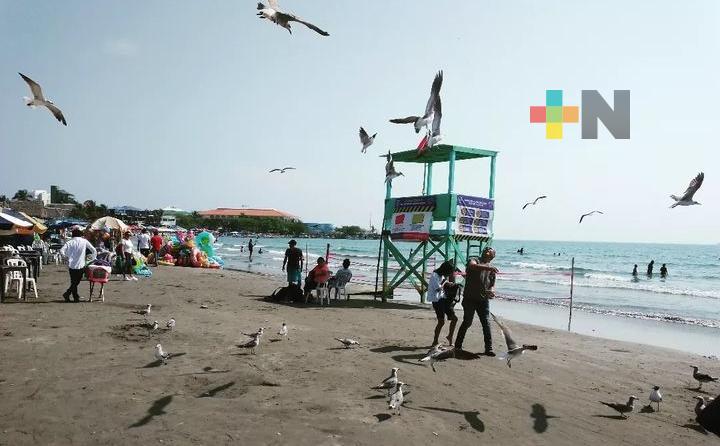 En playas de Veracruz no ha habido personas afectadas por golpe de calor