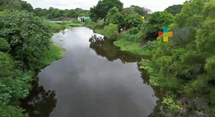 Jamapa sólo registra 11 casos de dengue; población ayuda para evitar proliferación del mosco