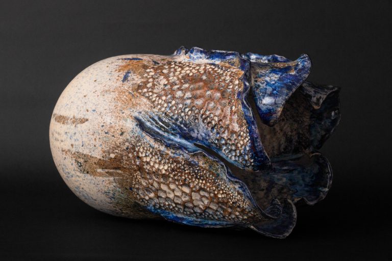 Inaugura JEX dos nuevas exposiciones este #JunioConAmbiente