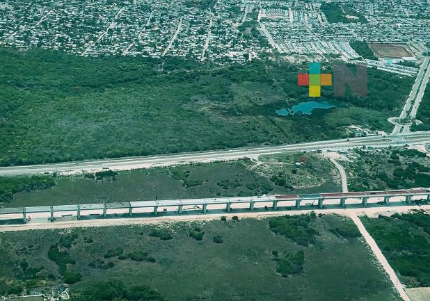 Presidente constata construcción de pasos de fauna y obras complementarias del Tren Maya