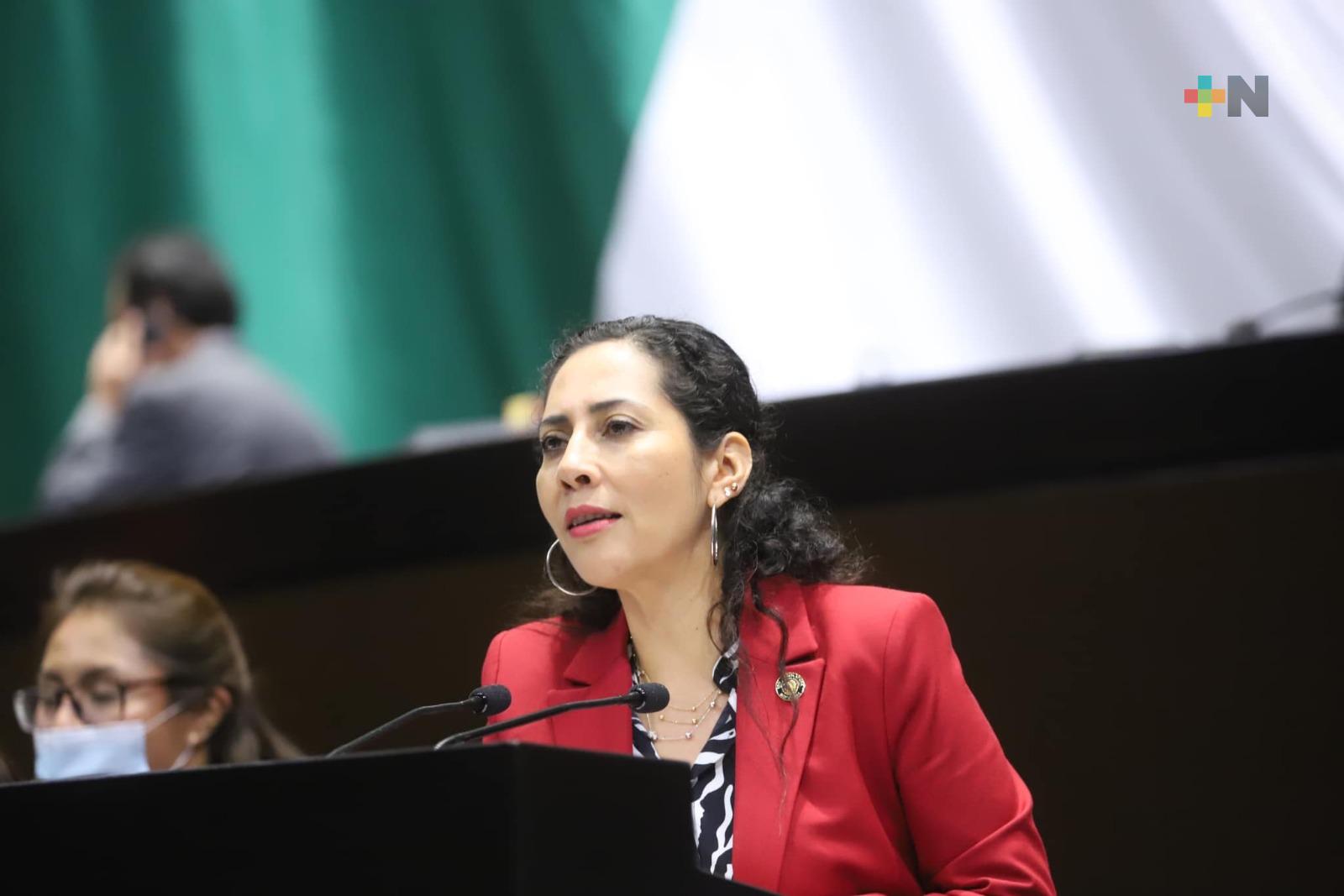 Presentan proyecto de ley para blindar  megaproyectos como el CIIT