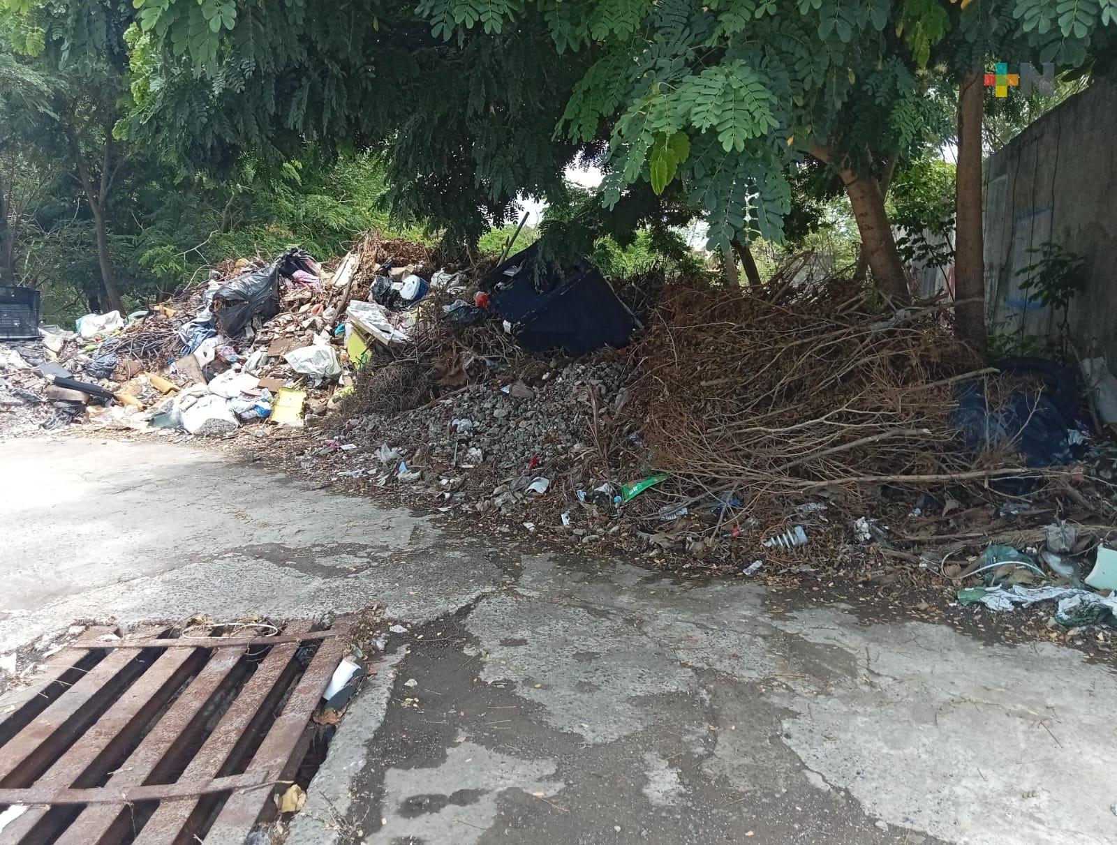 Queja de colonos en Veracruz puerto por peligro que representan dos terrenos baldíos