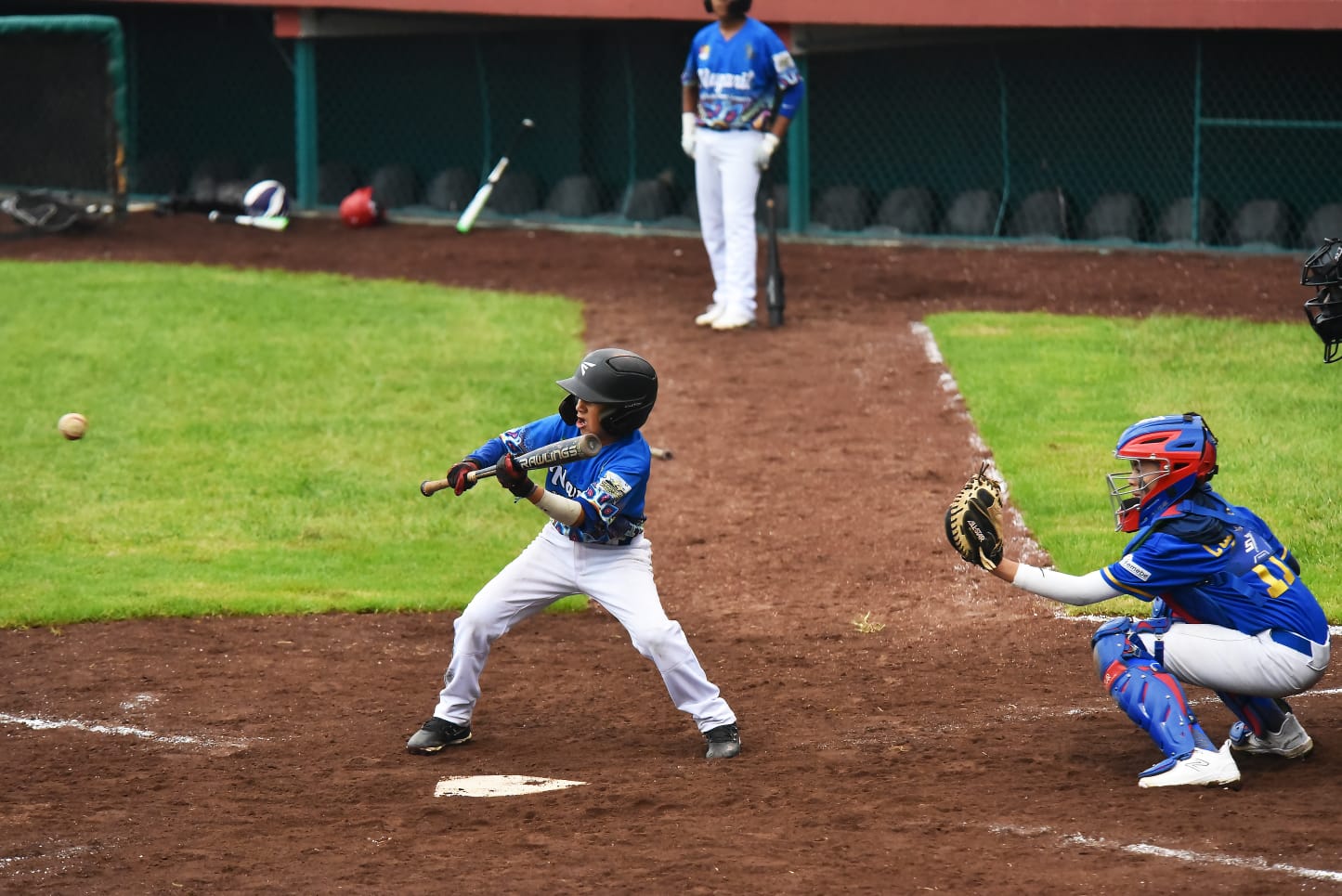 Albergará Xalapa Torneo Nacional de Selecciones Pre-Junior de Beisbol